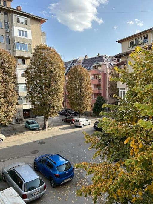 Apartment Luxurious Flat Center Pleven